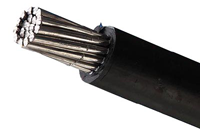 架空乐动在线平台