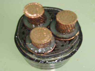 交联电力乐动在线平台