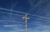 电线乐动在线平台防冻